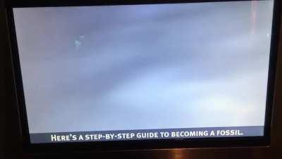 How to become a fossil