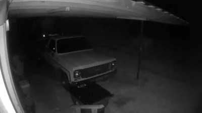 A horse died in this pasture beside my house a couple years ago. There are currently no animals in this pasture. The horse was black. This one appears to be white.