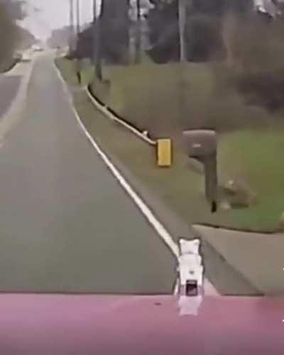 Semi-truck brakes fail behind a school bus.. you can hear the panic and fear in the semi driver’s voice!