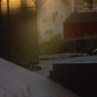 HMFT after I don’t follow through