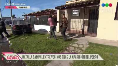 Acusó a su vecino de robarle el perro y se pudrió todo en pleno móvil de televisión, el can apareció