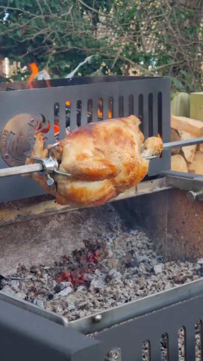 Spinning chicken 🐔