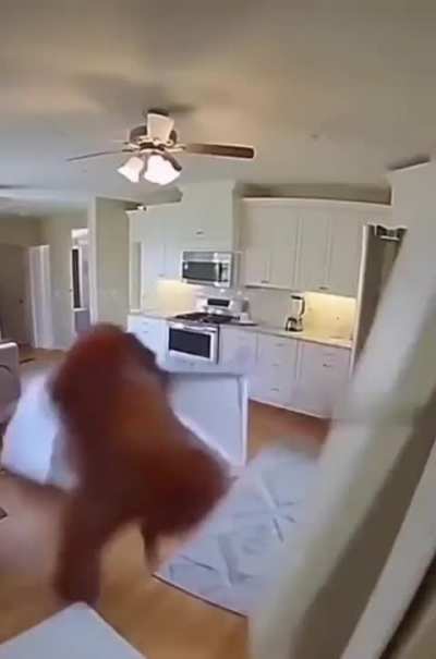 ihc wen kong stronk drüggt un nich wais wo foggus slüssl