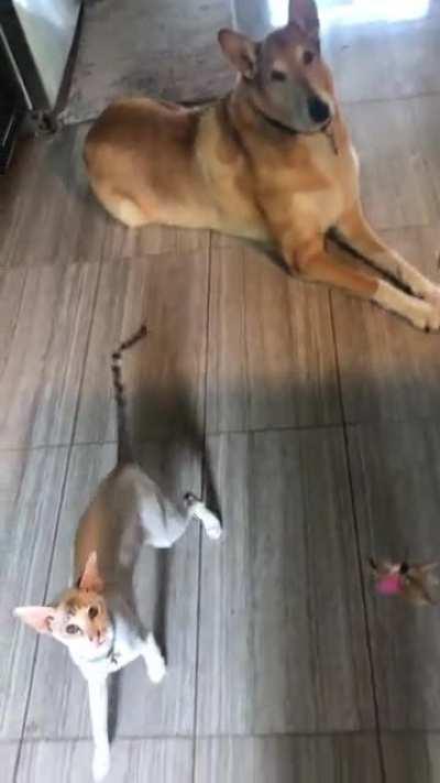 An injustice has been done!!!!