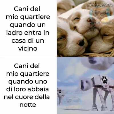 Dirige il Maestro Bauppe Dogsicchio