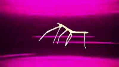 a melhor abertura de anime