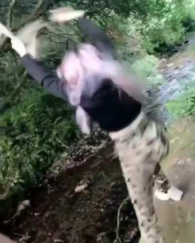 HMC while i play around with this rope