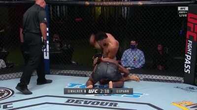 The ridiculous fight and finish between Johnny Walker and Ryan Spann