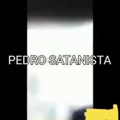 Pedro Pedro Pedro Pedro Pedro Pedro Pedro