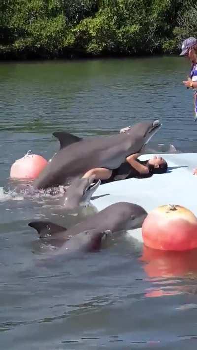 Literal fuck you in particular.