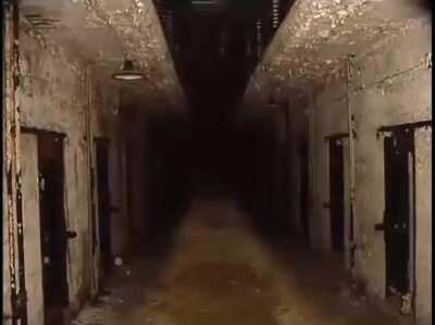 cursed_hallway