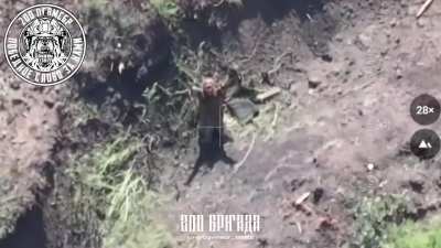 RU POV: Ukrainian fighter surrenders to 200th Separate Motorized Rifle Brigade FPV drone operator. 