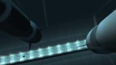 nothing bad ever happens to the niccals