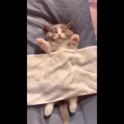 Smol little paws. 😭