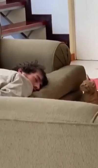 Наташа, какого хрена, кто это?