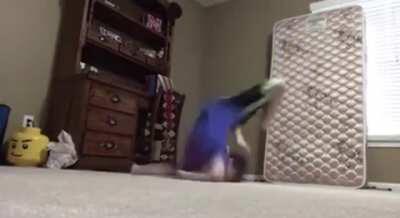 what did he think was gonna happen