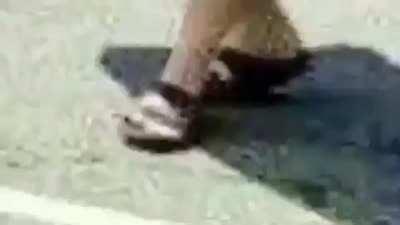 Esto va a ser epico papus