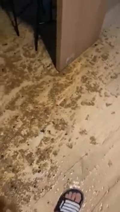 Ground floor apartment flooded after someone clogged the drains with a mop head