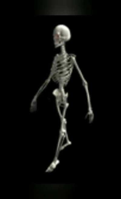 skeleton go brrr
