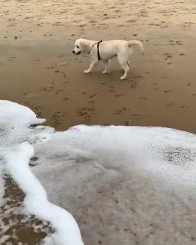 Waves do me a big scare