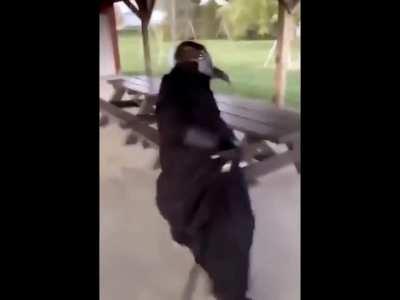 D-boi: *enters surveillance room* SCP-049: