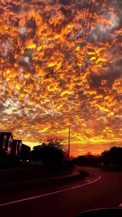 Cool sunset