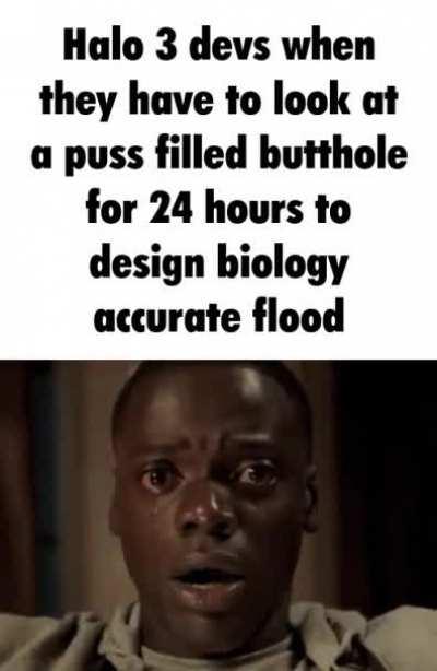 accurate flood