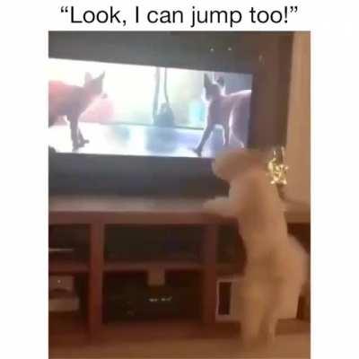 This video made my day