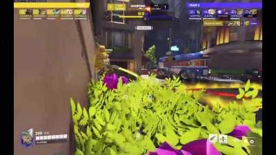 I just lost a comp game because enemy Mercy was contesting the payload from a bush