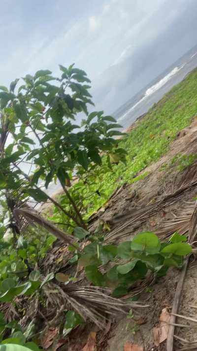 Tell your dick I said hi