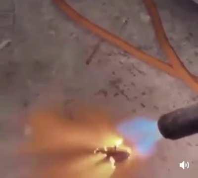 POV driller tried to get a second steve