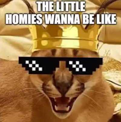 i have no idea what is this place, but it has the rule