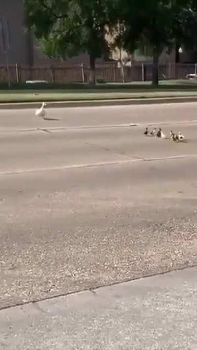 Kindly drive carefully