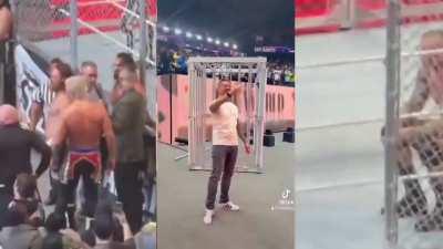 [Survivor Series Spoiler] - Side by side shots of THAT interaction after the main event