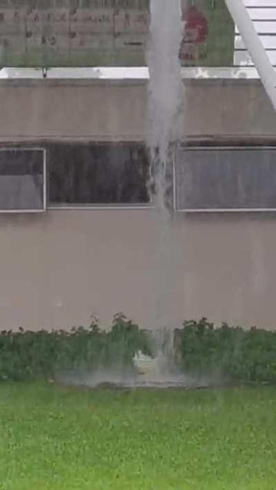 Government Handling of Covid Situation Right Now