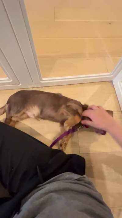 Why does he do this?