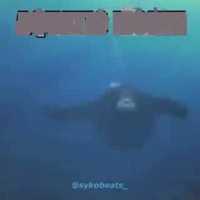 Aquatic monki 😳👌