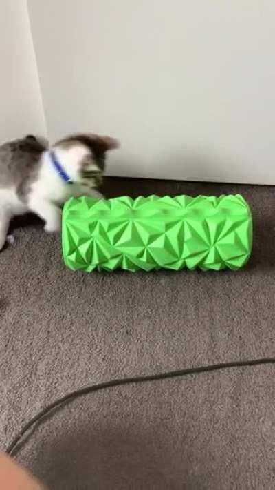 I bought a million toys for this little man and his favourite form of entertainment is my back roller and a peg