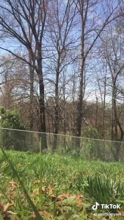 A timeless masterpiece