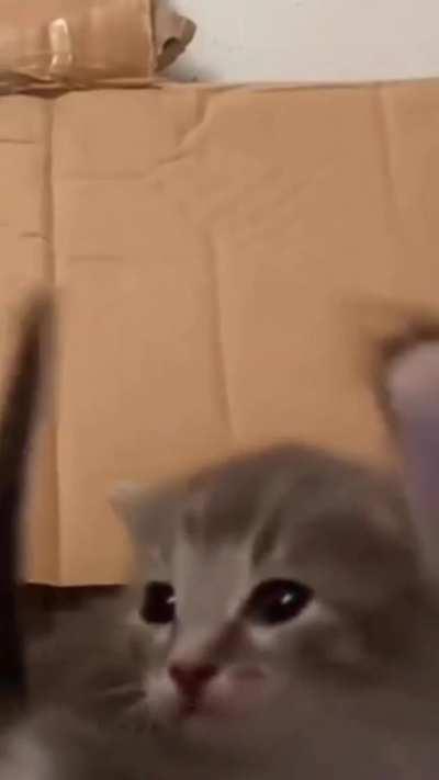 Can you feel my heeeeeeeeeeee