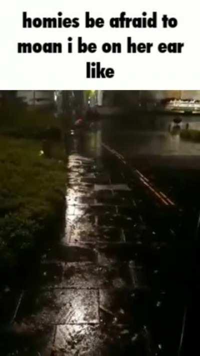 This is not my wife this is not my wife this is not my wife