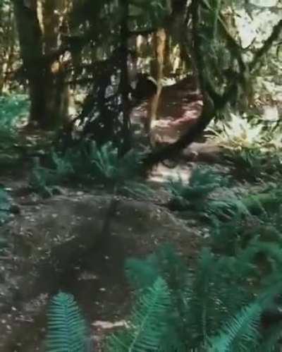 Horrible or hilarious BIKES! Edition