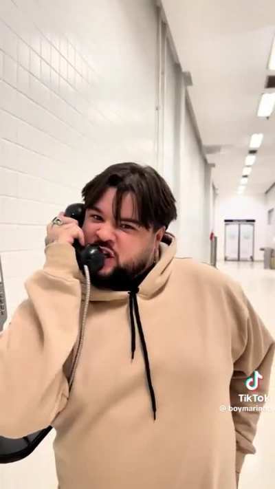 FREE THE BEARS IN POP