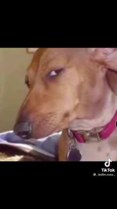 I smell the cap from here