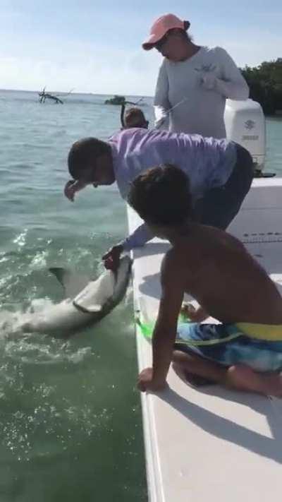 Trying to grab a shark