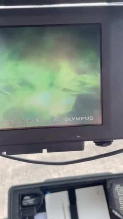 Anyone have the maintenance manual reference for proper care of ecosystems inside waveguides?