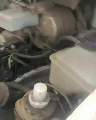 Satsuma broken again