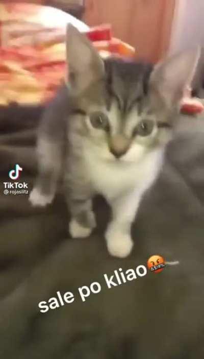 Dylan conoce a Michi