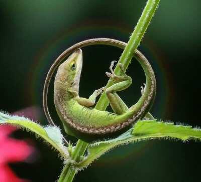 Paying attention to the life around us has a way of revealing the grander reality