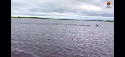 To get “fast food”